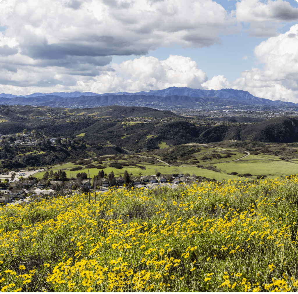 NARM Trauma Therapy | Heal with Neuroaffective Relational Model