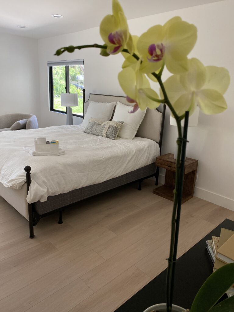 IMG_1722 svg+xml;charset=utf