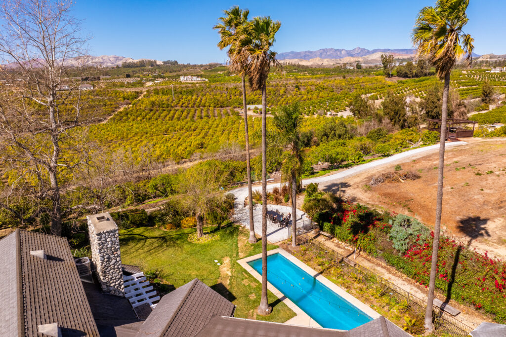 default svg+xml;charset=utf