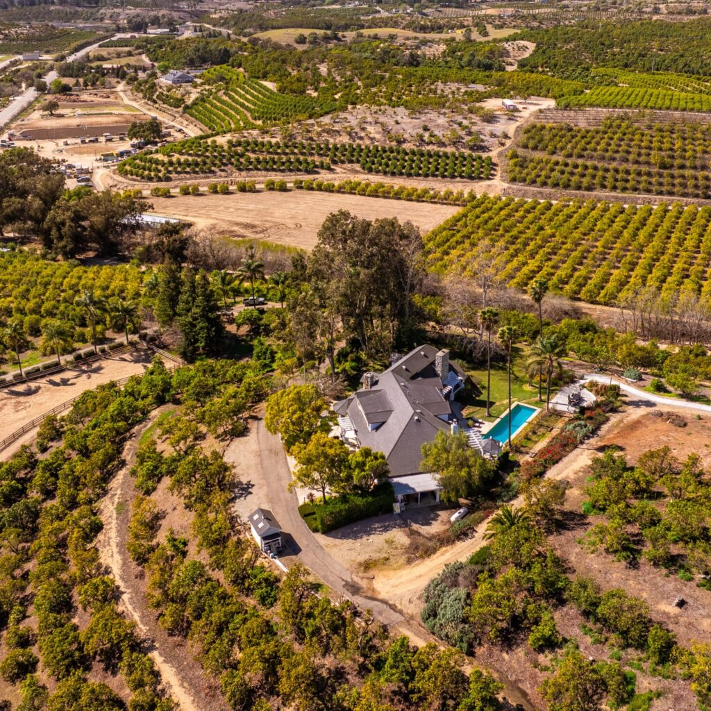 default svg+xml;charset=utf